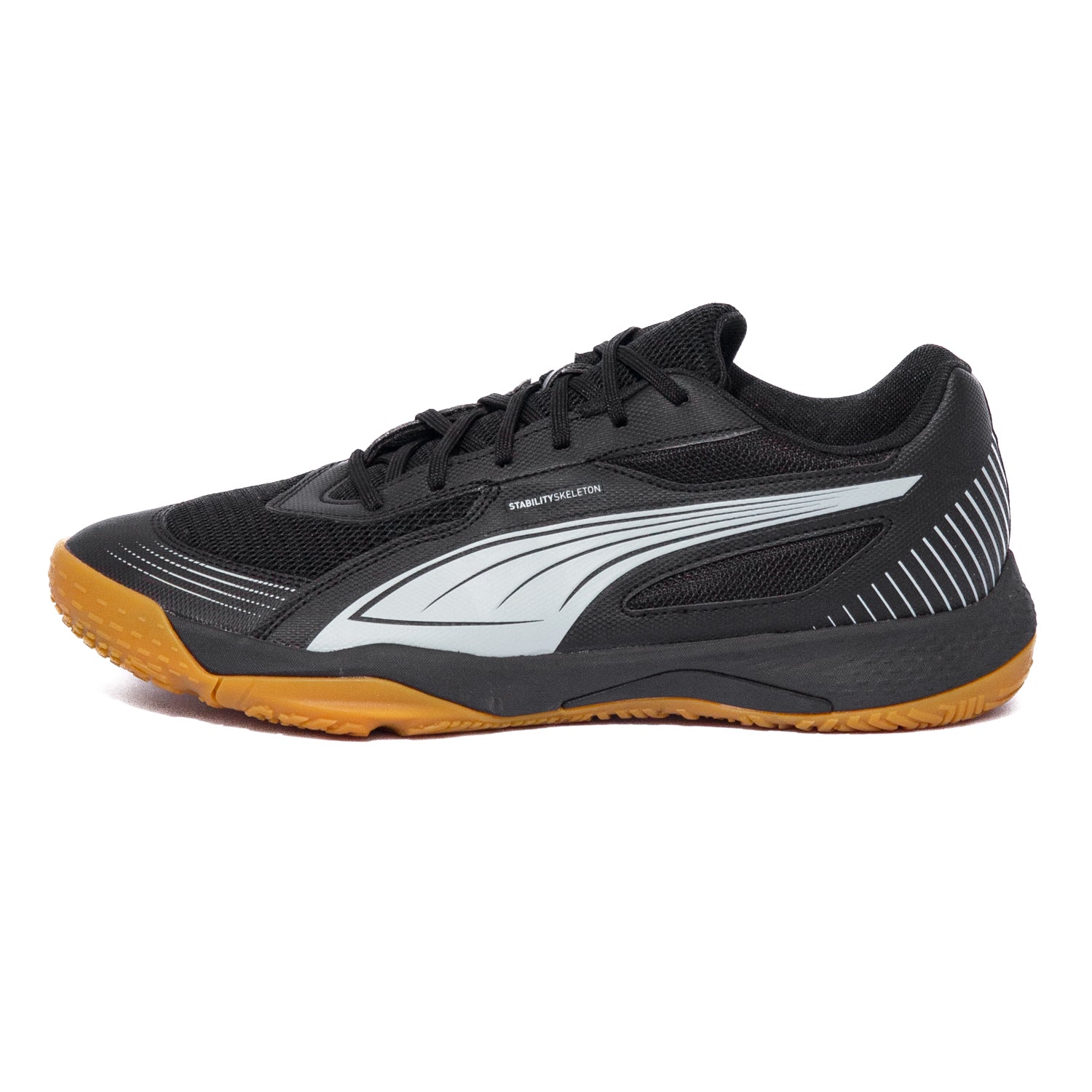 PUMA SOLAR FLASH III