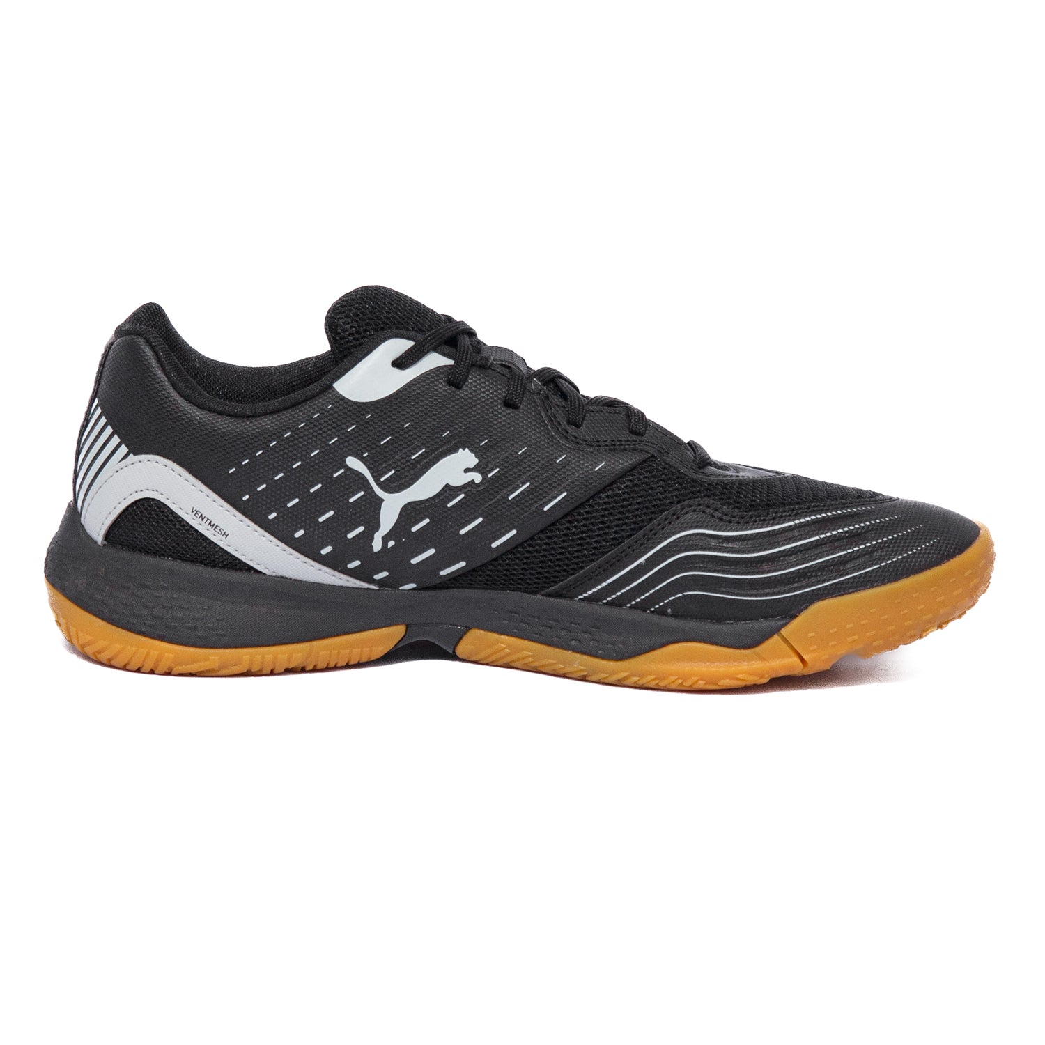 PUMA SOLAR FLASH III