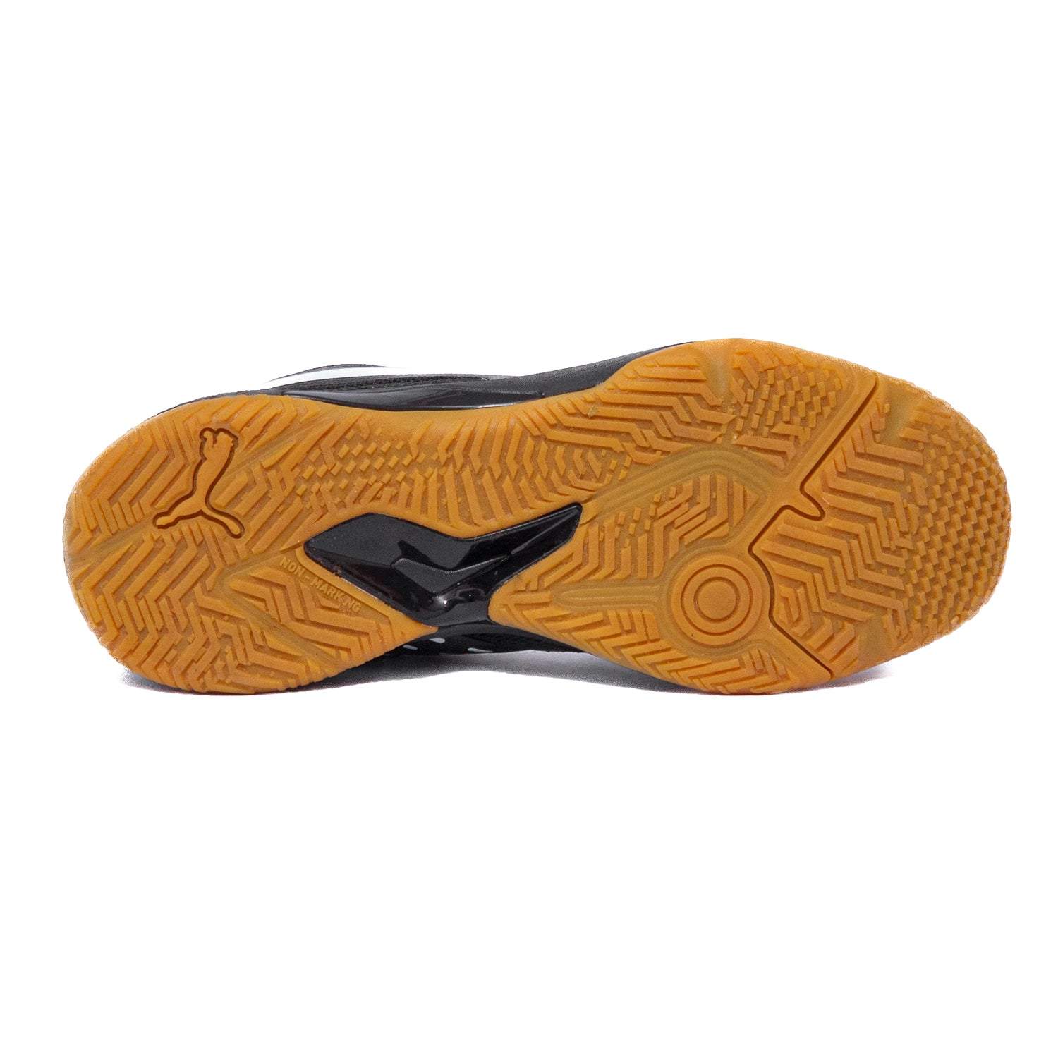 PUMA SOLAR FLASH III